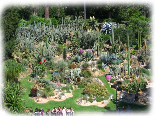 Quindici Molfetta Bari Secondo Incontro Su Il Giardino Mediterraneo